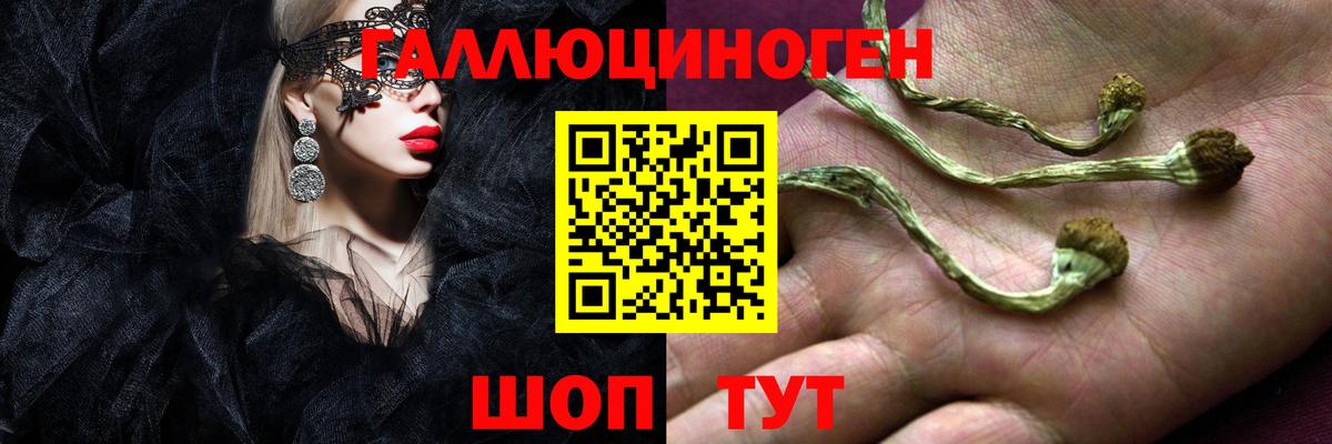 Камышин  Псилоцибиновые грибы GOLDEN TEACHER  Вход с VPN 