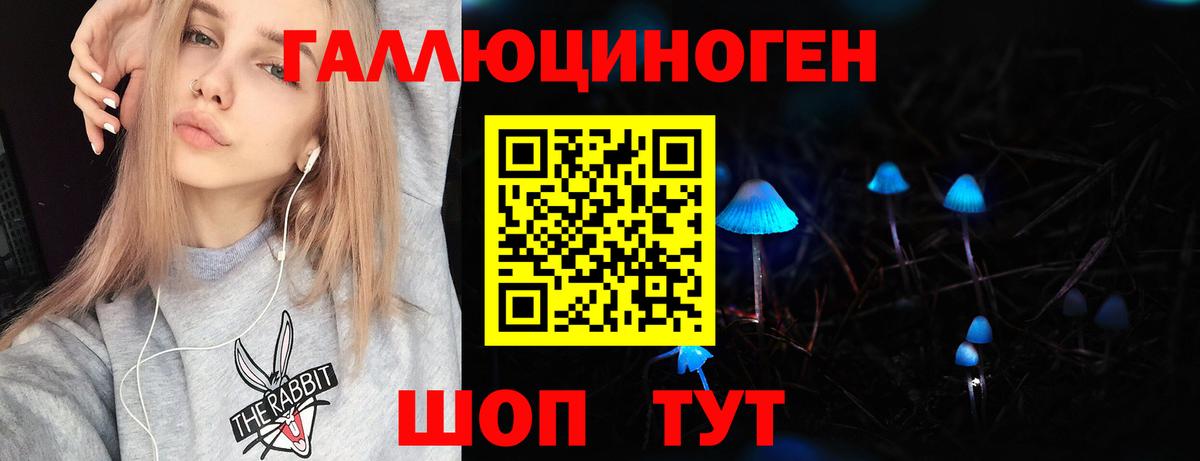 Псилоцибиновые грибы Cubensis Камышин